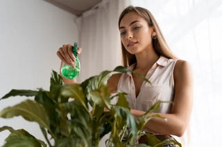 Sustainability in Beauty: The Future of Green Packaging in Cosmetics